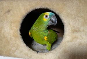 IMG_7639.300x200.jpg IMG_7639.300x200.jpg