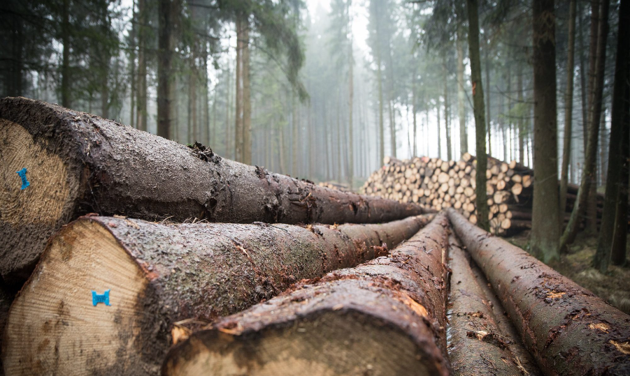 Waldversicherung AXA Online Berechnung Abschluss 